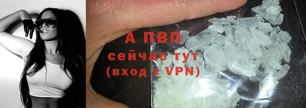 сатива Кулебаки