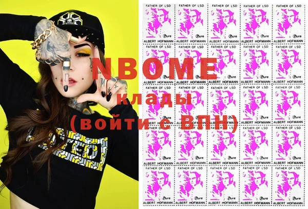 сатива Кулебаки