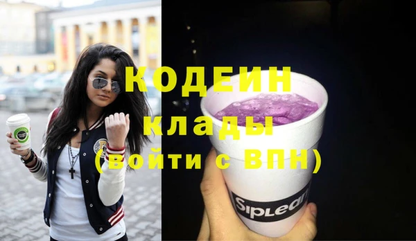 сатива Кулебаки