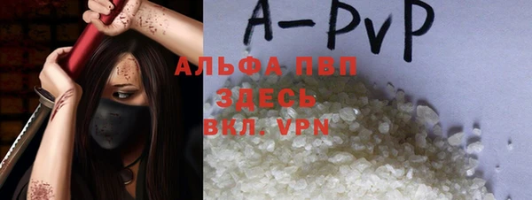 сатива Кулебаки