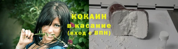 PSILOCYBIN Кукмор