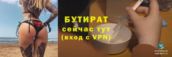 сатива Кулебаки