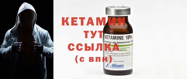 сатива Кулебаки