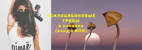 PSILOCYBIN Кукмор