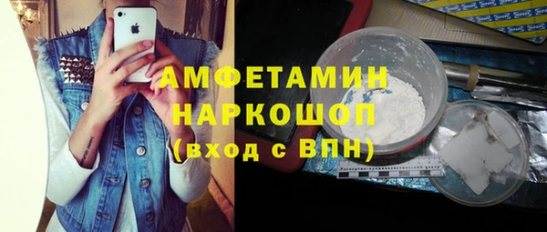 сатива Кулебаки